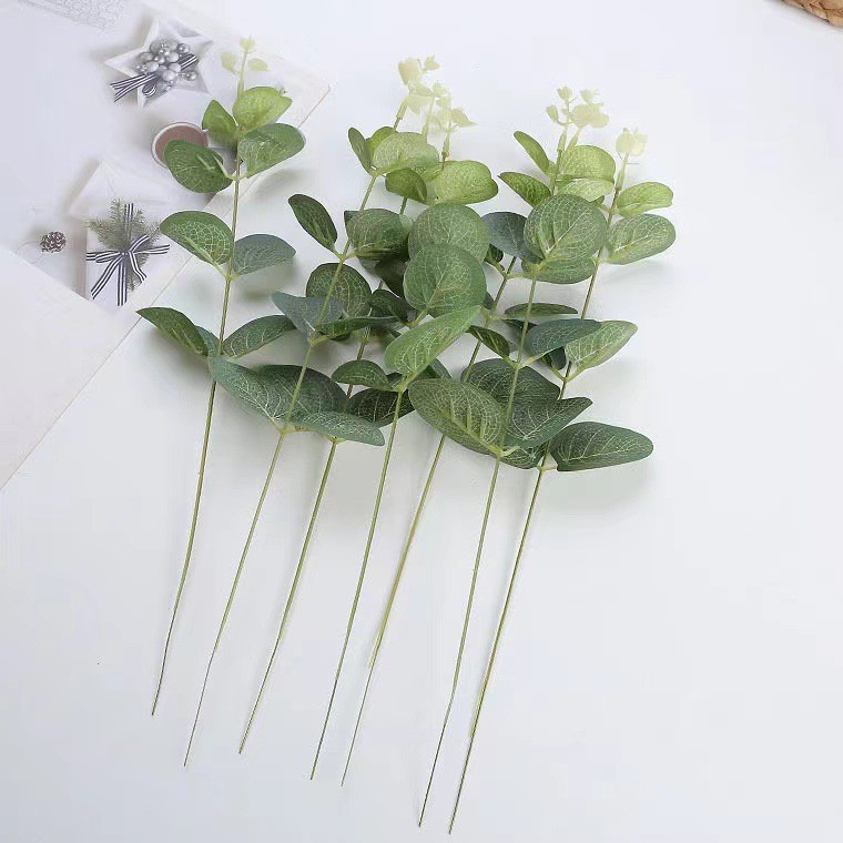 Simulation of a single money leaf eucalyptus leaf ins forest wedding…