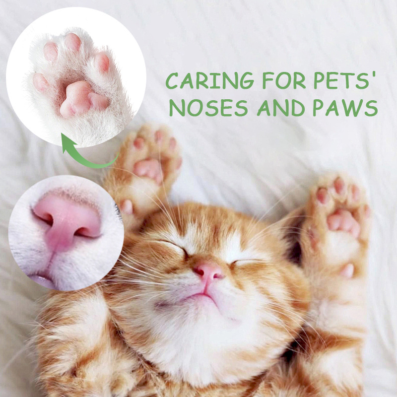 Patte de compagnie à base de plantes naturelles et crème de soins de la peau pour chiens chats 40g