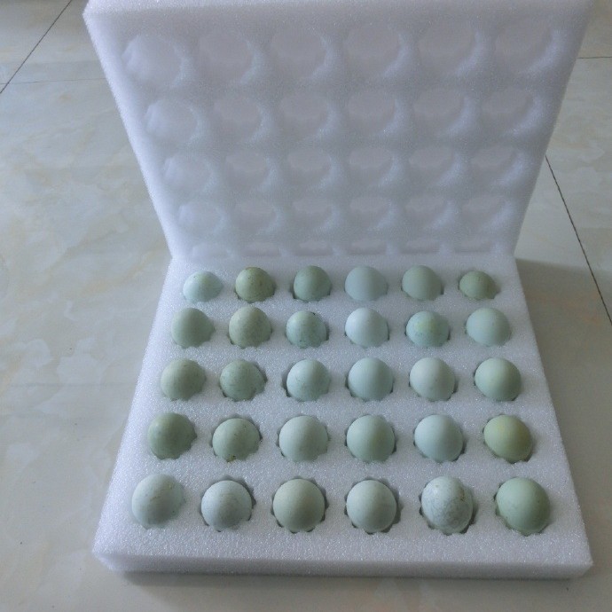 樟木头珍珠棉加工农林包装特产包装棉防需珍珠棉快递托开发设计