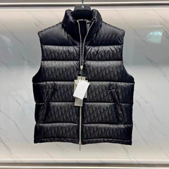 九江羽绒服迪家正确版白鸭绒羽绒马甲秋冬保暖立领外套男女同款