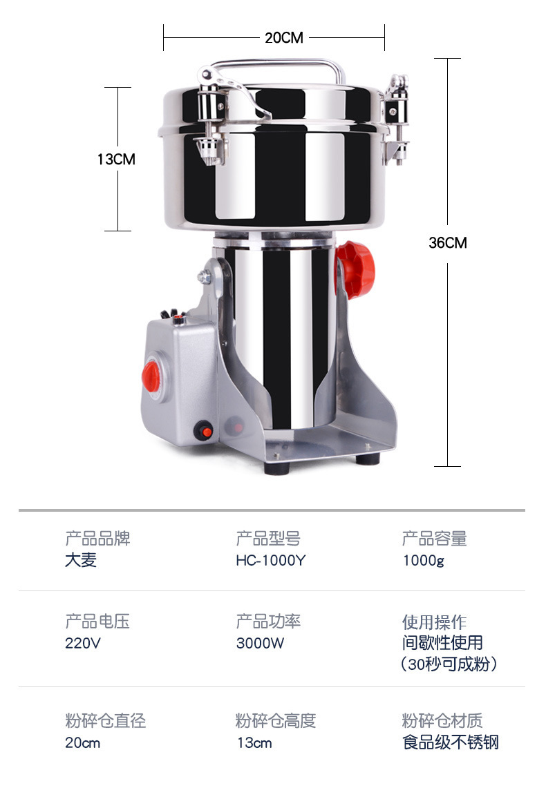 1000g 스윙 110V/220V