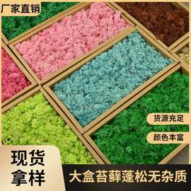 永生苔藓假苔藓植物墙造景装饰手工制作 配材花材人造苔藓仿真苔