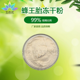 �����{���ɷ�99% ����̥��ȡ�� ��ϩ��6% DHA ����̥�� 500g/��