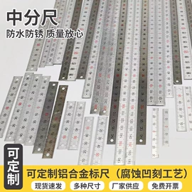 钢直尺;水文仪器;其他量具
