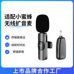 ワイヤレスラベリアマイク、ツアーガイド、教師用リトルビーラベリアマイク、大音量屋台拡声器、ハンドヘルドマイク