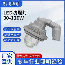 防爆灯