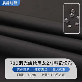 70D消光纬捻尼龙2/1斜记忆布 棉服羽绒服夹克外套风衣防水面料