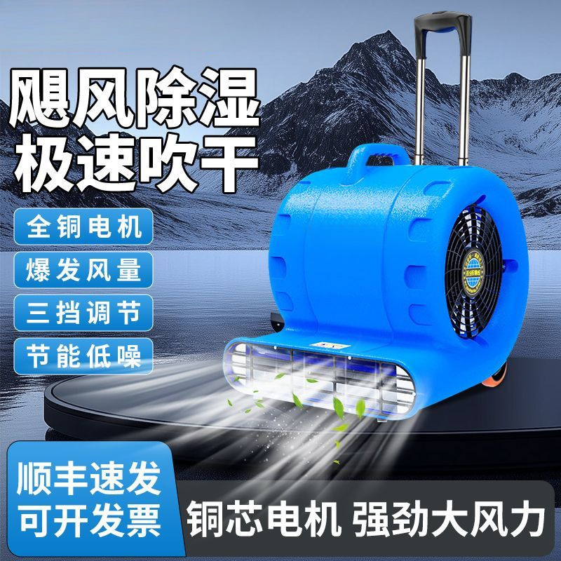 Secador de suelo, soplador de suelo frío y caliente, pequeña empresa comercial, baño doméstico de alta potencia, deshumidificación de inodoro, fábrica de secador de pelo