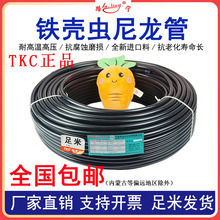 TKC�F���x������؛܇��܇�x܇��܁�̫��12�߉�ܛ��PA11Ӳ���Ϲ�8