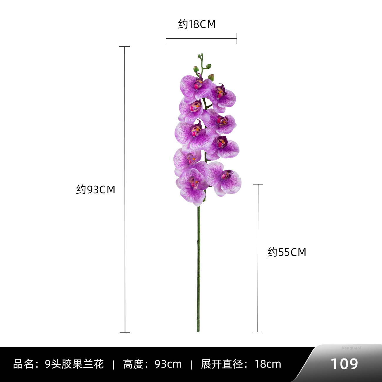 109 #9 껌 과일 난초