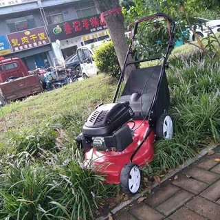山东勤耕工厂定制加工手推草坪机自走18寸割草机带草袋的剪草机
