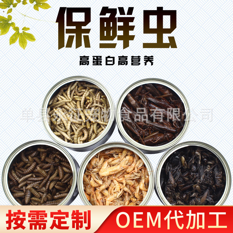 灌装保鲜面包虫蚂蚱黑水虻河虾蟋蟀昆虫罐头厂家定制观赏鱼鱼饲料