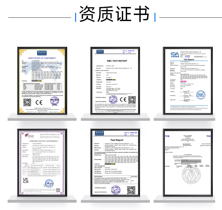 2--T295-BG---中文_23