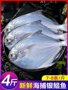 �y�K�~���r��������r���K�~���~���~ƽ�~�c�~���~���rˮ�a�ǽ��K