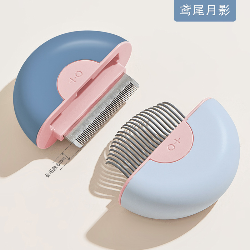 블루 핑크