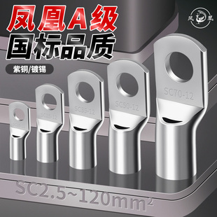Phoenix Wire Crimping Connector National Standard Sc Cold-Pressed Terminal Peeking Mouth Copper Wire Nose Wire Ear 4/6/8/10/12