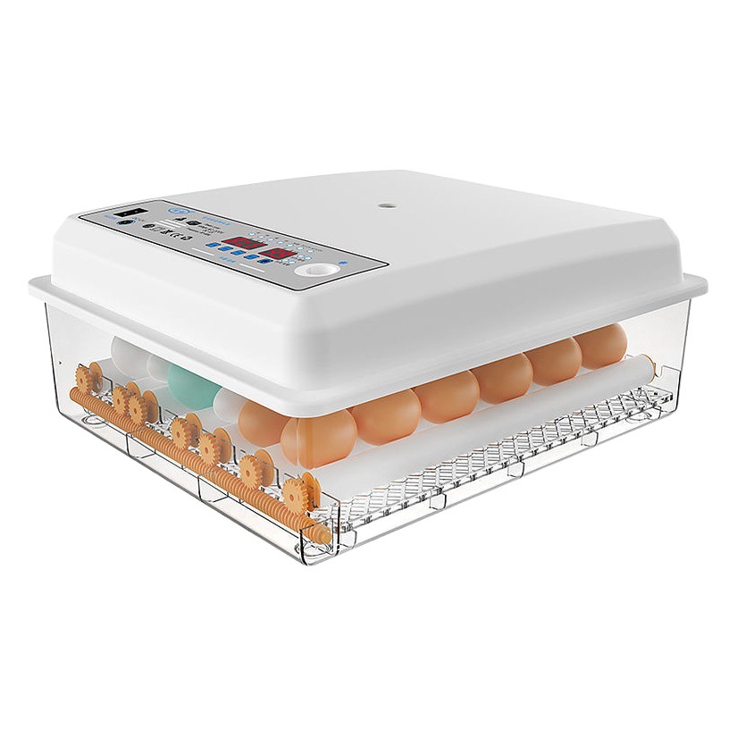 Incubadora de pollos al por mayor de comercio exterior, incubadora inteligente pequeña para el hogar, incubadora de huevos transfronteriza, incubadora de huevos inteligente