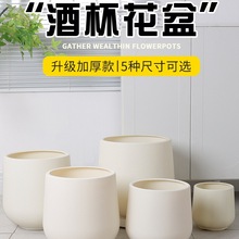 ��ˮ���̖�A�ξƱ���Ӻ��֬������ú��s�p�ݺ����m�Gֲ������