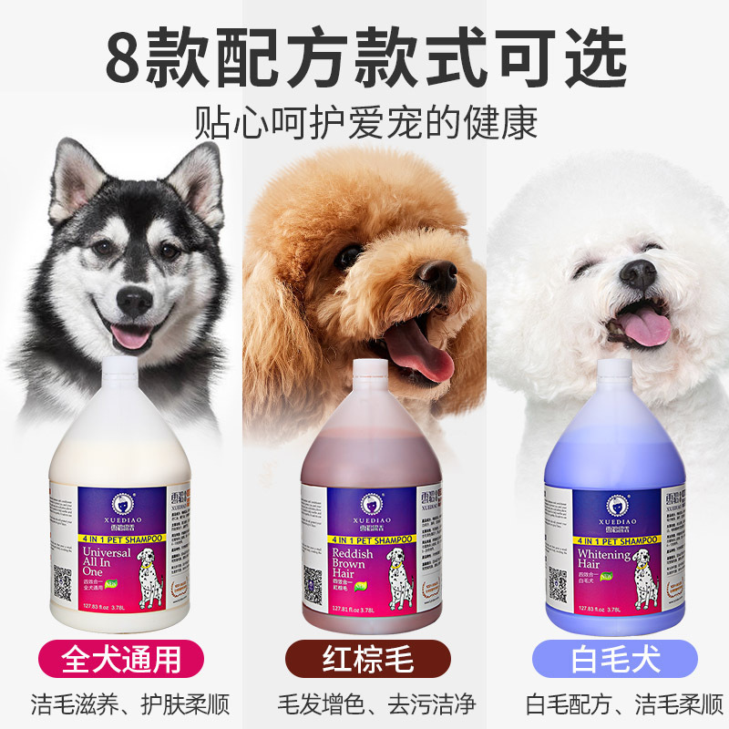 【1個買うと4個無料】フェレット シャワージェル 3.78L 犬用シャンプー ペット用品 フェレット フレグランス キャット シャワージェル|undefined