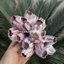 YJȻؐىRӺʯ ˮ~쾰bؐ~~