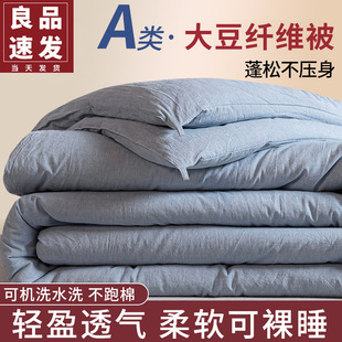 Soybean color fiber quilt cotton quilt core winter quilt warm spring and autumn air conditioning summer cool quilt summer thin student dormitory quilt