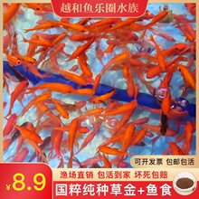 �ݽ��~���~���w�^�p�~����B�ͻ�[����ˮ�~�\���~�~����~����~