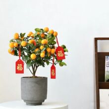 ��ۘ�����ֲ���҃��ļ������辰�͏d��ʳ�ý��٘��玧�������Gֲ