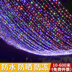 挂树上的彩灯闪灯满天星户外防水七彩灯串LED新年节日氛围装饰灯
