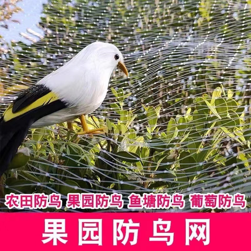 防鸟网防老化大棚保护网家用果树网防鸟用的鱼塘养殖网