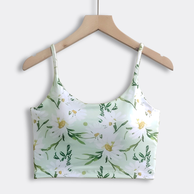 신선한 녹색 국화 브라