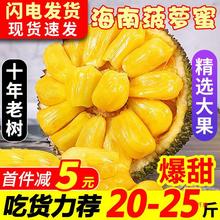 海南黄肉菠萝蜜新鲜水果波罗蜜当季产一整个20-40斤整箱包邮红