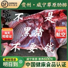 ���i�����r�F��ǭɽ�i���i����4����S���i�⼃�Ź��r��ɢ�B���r