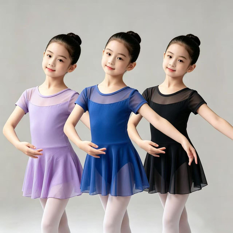 Children's Dance Clothing, Girls' Summer Short-Sleeved Practice Clothing, Chinese Dance Ballet Exam Performance Clothing, Class a Gauze Skirt