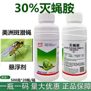 30%��ω�����ްߝ�ω�������S�ϵ؈D�x���~ω���x���rș500g