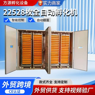 鑫浓仁定制型跨境全自动孵化机eggincubator工业大型智能蛋孵化器