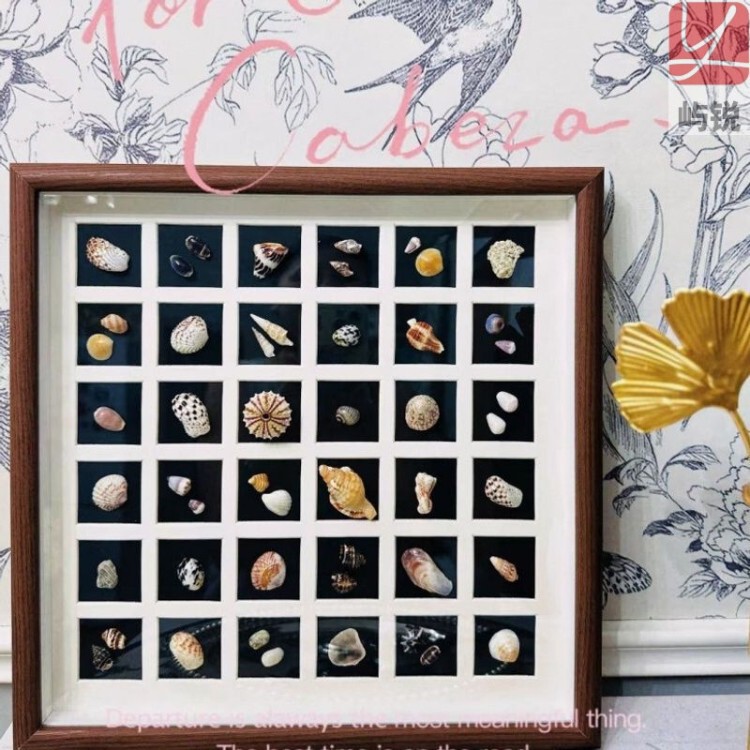 Handmade DIY creative seaside 3D hollow grid photo frame display stand for dried flowers, specimens, and shells Handmade DIY creative seaside 3D hollow grid photo frame display stand for dried flowers, specimens, and shells