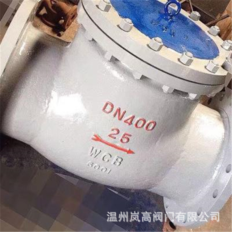 H44H-25C 旋启式止回阀 国标止回阀 铸钢材质 法兰连接 DN40