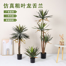 ������~�����m�٘����ԟᎧֲ���̈��b[����Ѫ��پGֲ�쾰�^