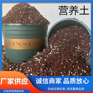 Universal Nutrient Soil Planting Flowers and Vegetables Home Planting Soil Organic Flowers Fleshy Green Plant Nutrient Soil Factory Wholesale