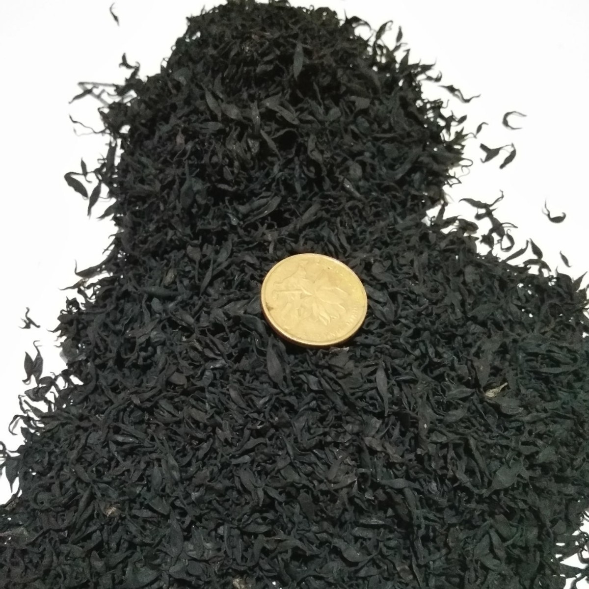 免洗羊栖菜鹿角菜长寿菜昆布海藻水产品海草凉菜干货批发海白菜