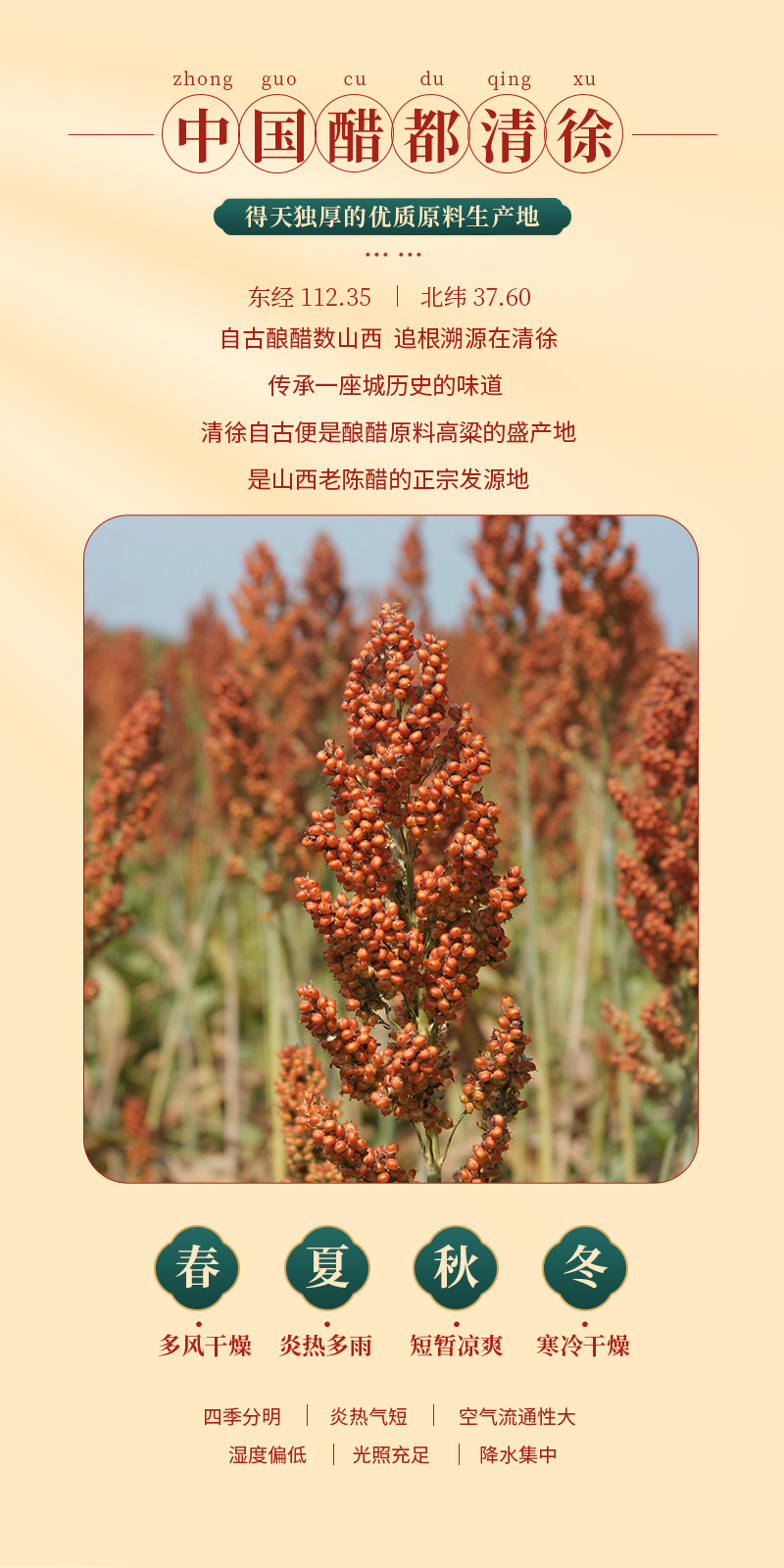 山西老陈醋1_02.jpg