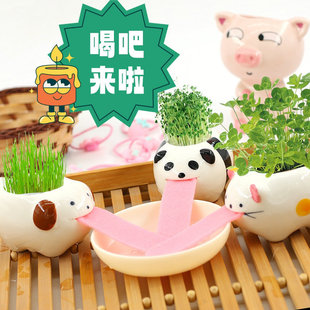 �Ȱɿ������k��������ֲ��W������}�Q���YƷ��݄���΢���^����