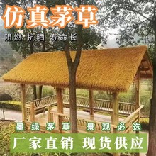 ����é��������b����Ϸµ��ݵ�̺ʽ����ɾ���ë���r�Ҙ�ì����