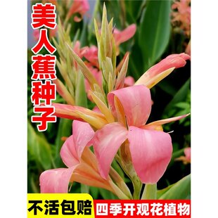 ˽NӼtGС˽NСŽSͥԺ׻