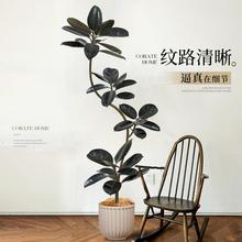 Դ�^�Gֲ�ڽ�����Ƥ��͏d�������쾰�����٘�Gֲ���p��Դ�^���l