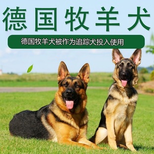 �pѪ�y������Ȯِ���o�lȮƽ�������������͹���Ȯ����Ȯ�Ѿ�Ȯ