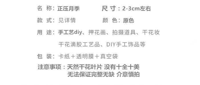 正压月季.png