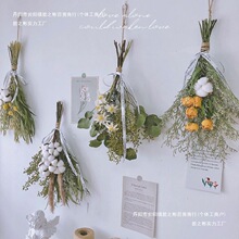 ɻޠڒ젝bõMȼ~滨Lɻ