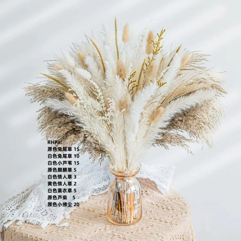 Набор тростников, тростниковая трава, маленькая тростниковая трава, сухоцветы, трава кроличий хвост, маленькое украшение из пыли, комбинация букетов для гостиной
