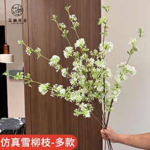 ����ѩ��֦-�����ʽ��@���滨�廨�ٻ��b͏dܛ�b�zӰ����